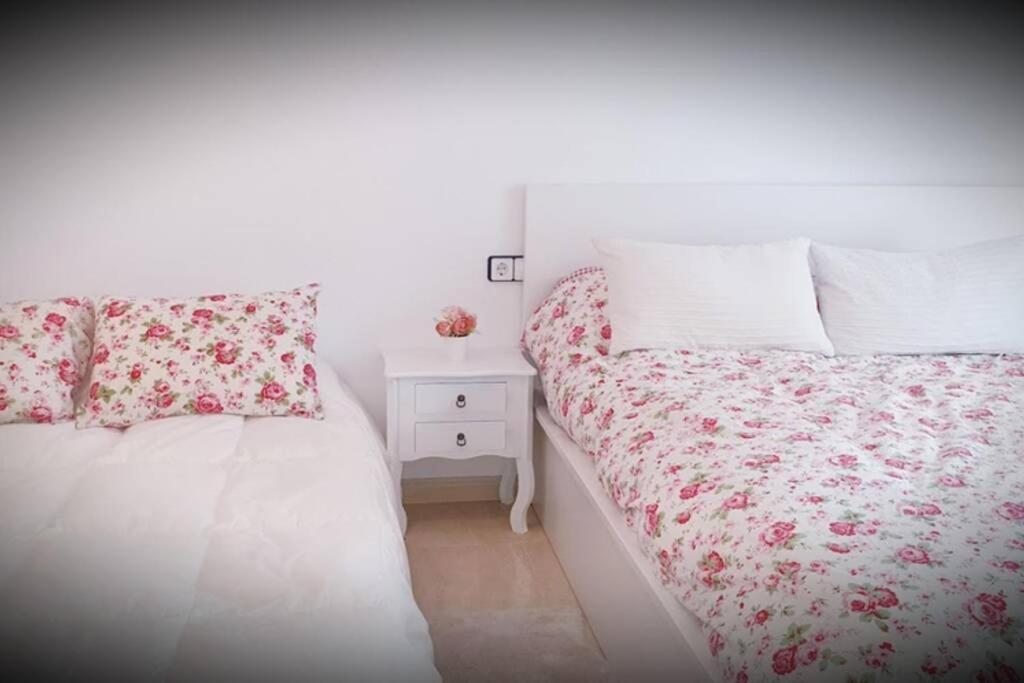 Apartamento Pepa. En El Corazon Del Delta. Сан-Жауме-де-Енвежа Екстер'єр фото